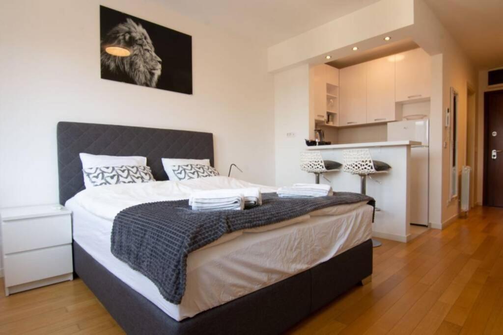 A Blok New Modern - Free Garage Parking, Comfortable, Quiet With A Park View Belgrad Exterior foto